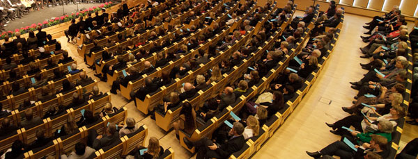 program maf2020