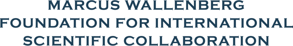 MWS Logotype Large maf 2021